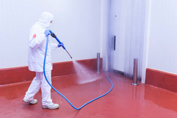 Best Paint Preparation  in Lenape Heights, PA
